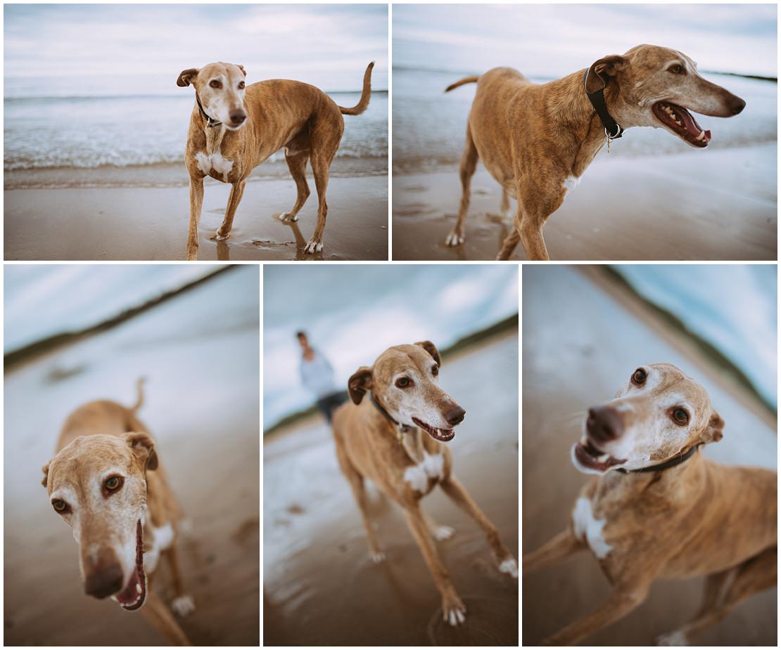 northumberland longhoughton beach engagement shoot 0001