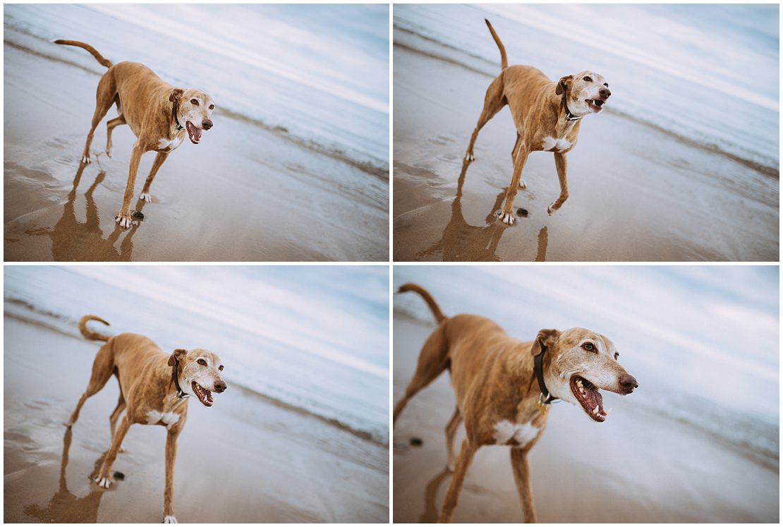 northumberland longhoughton beach engagement shoot 0002