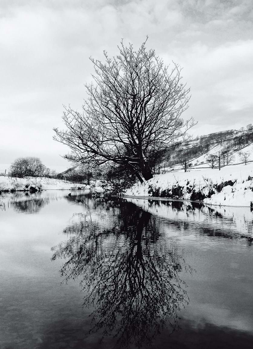 Snow covered tree reflections in small river